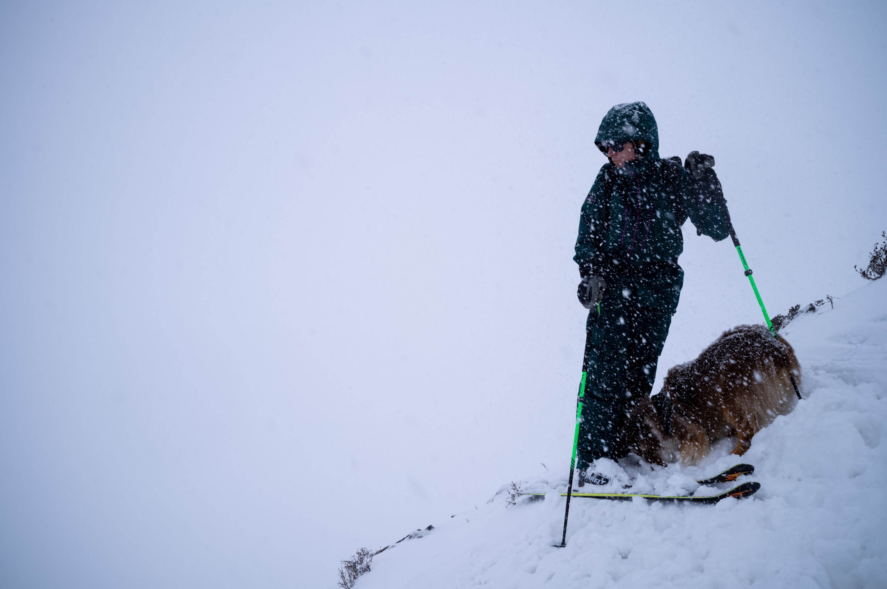 Guide and his dog. 领队与他的小狗.
