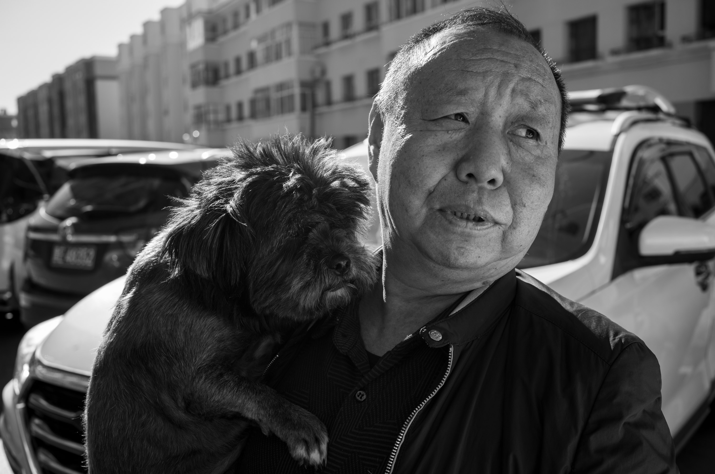 布尔津的小狗与它的主人