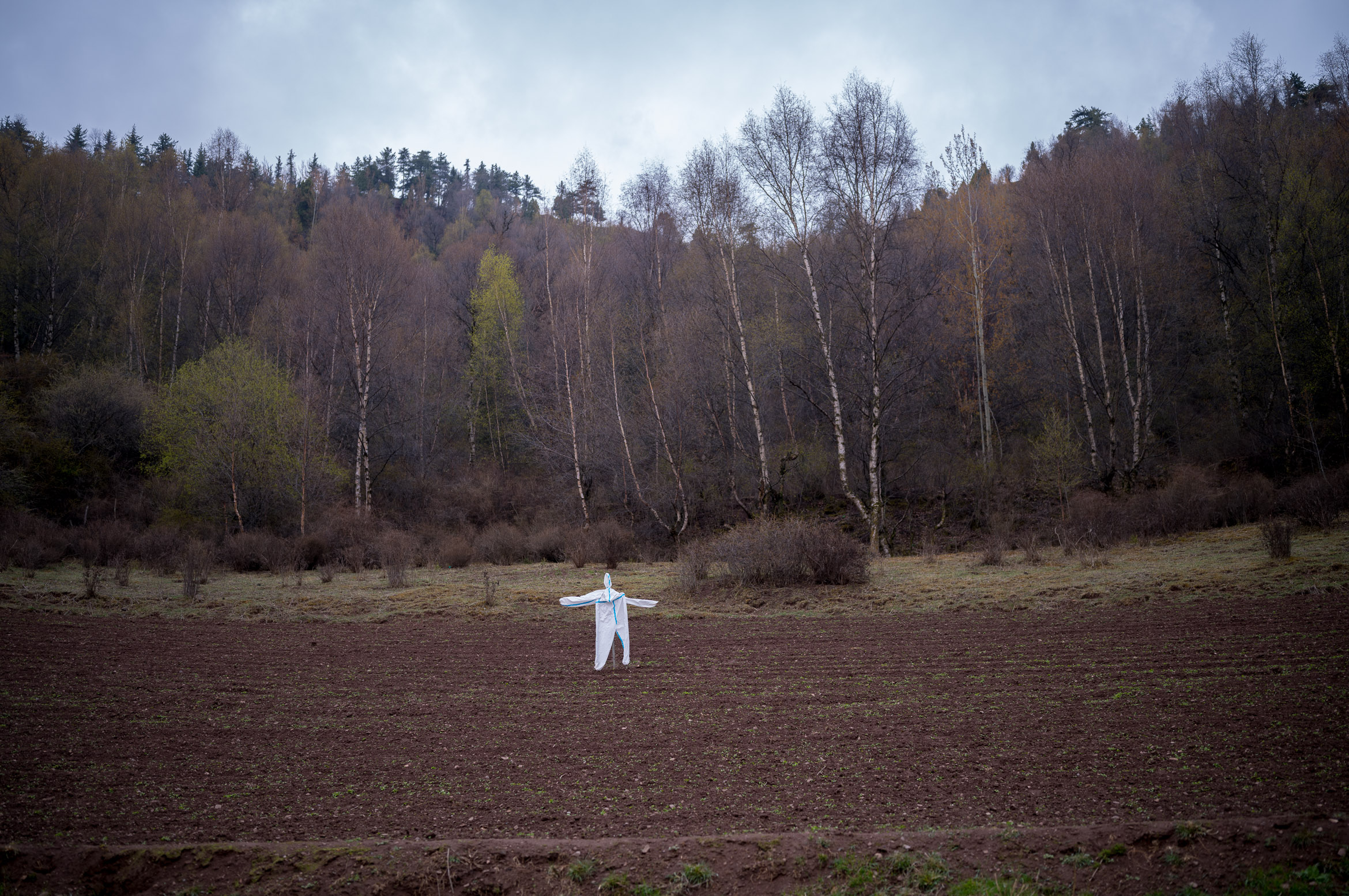 After the epidemic 疫情之后