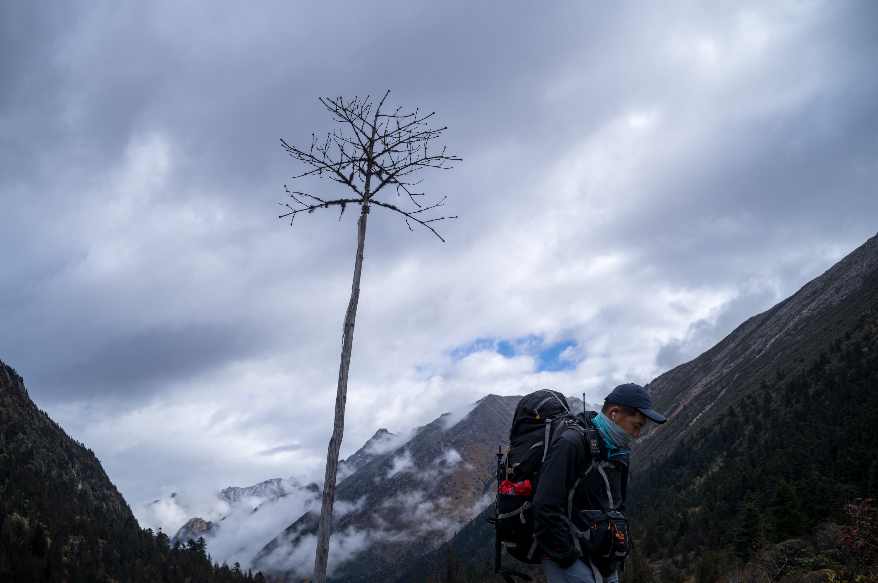 这个靓仔是向导.