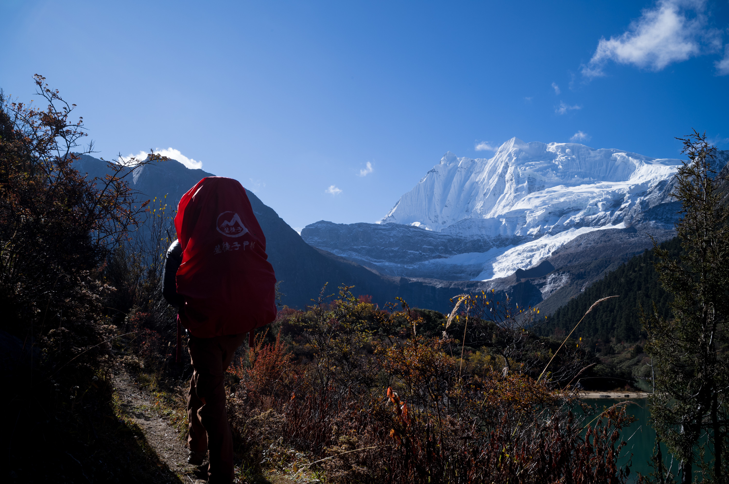 这个靓仔也是向导.