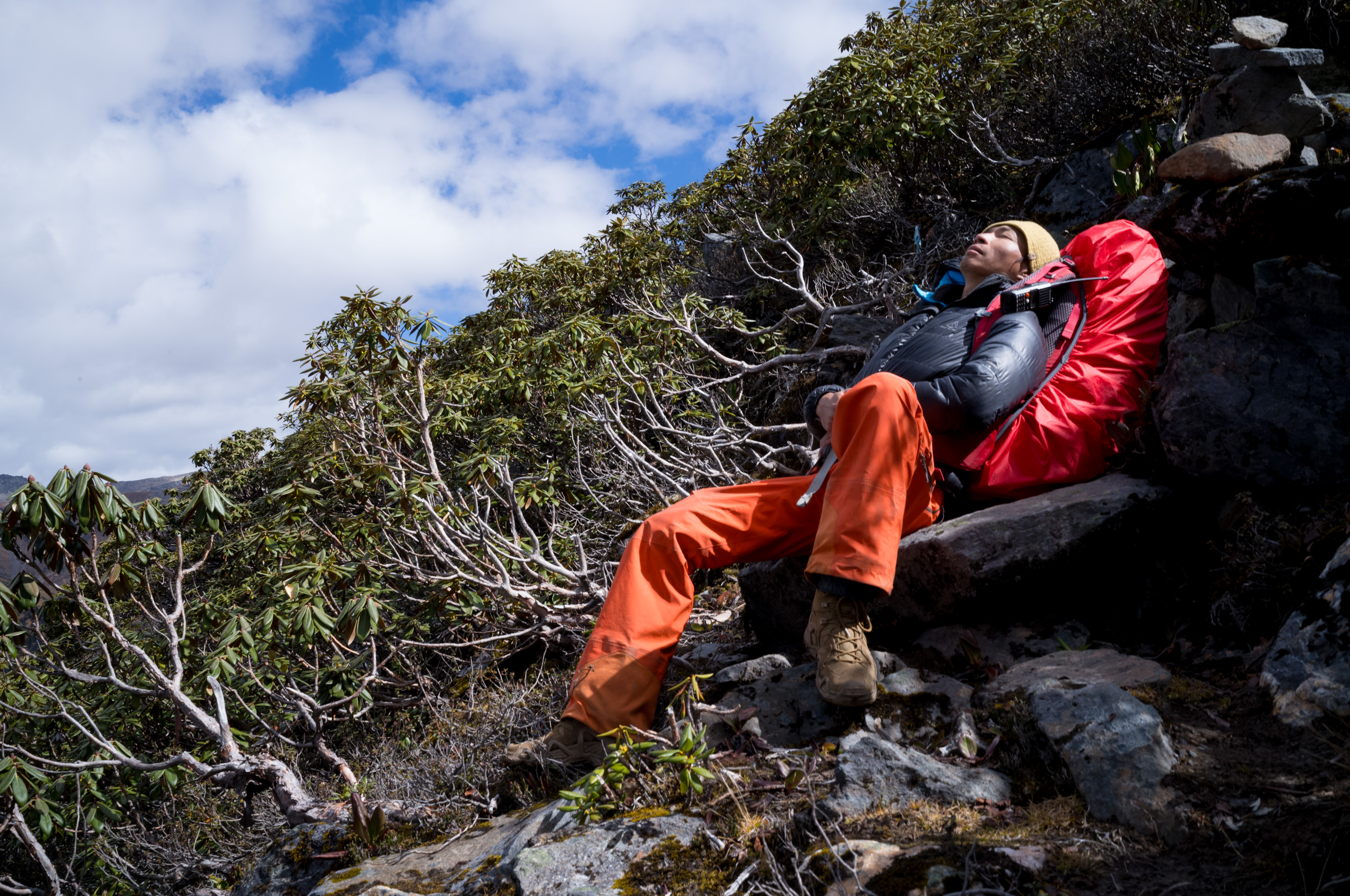 高海拔徒步真的很累. 背景是茂密的高山杜鹃林.