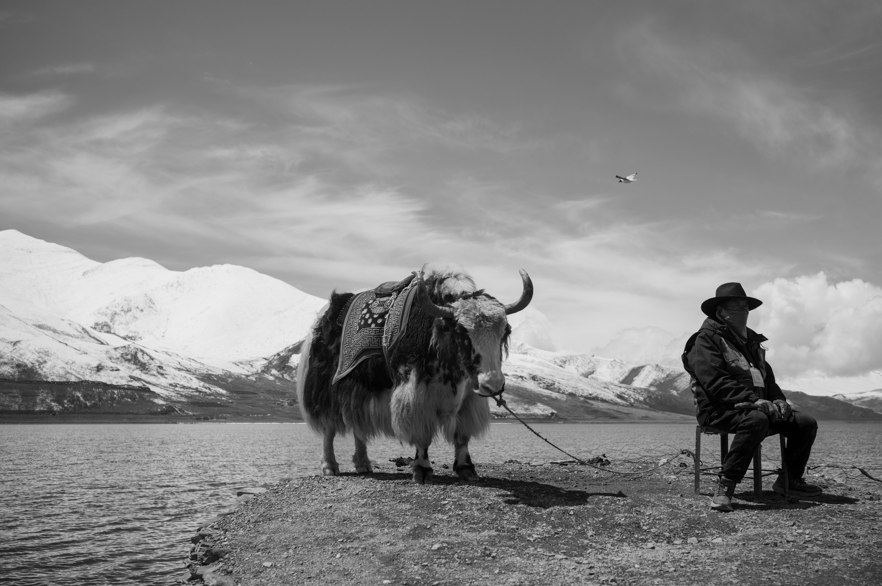 People by the Yamzhog Yumco Lake. 羊卓雍错湖边的人.