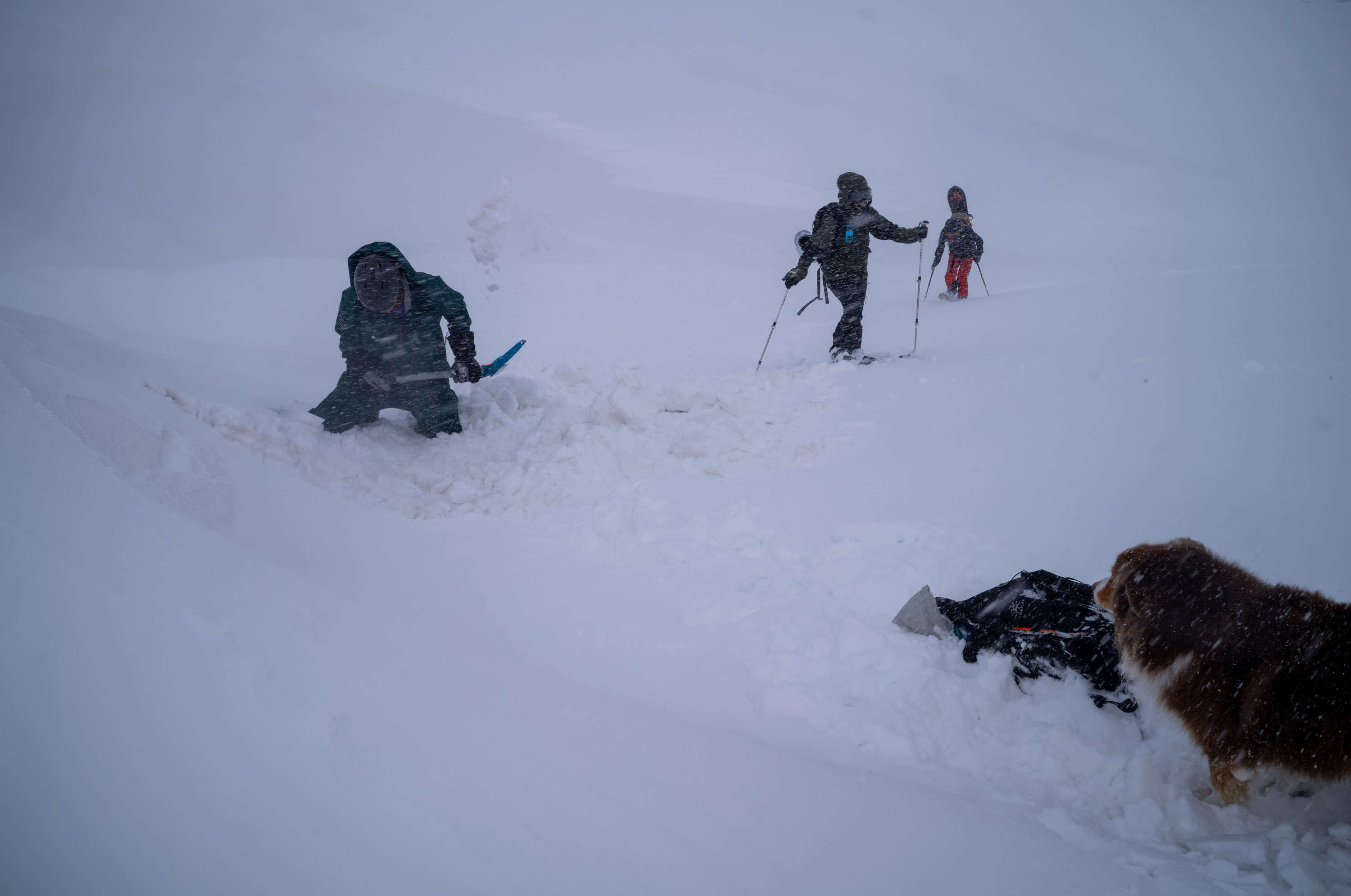 Preparing for avalanche safety training. 准备进行雪崩安全训练。