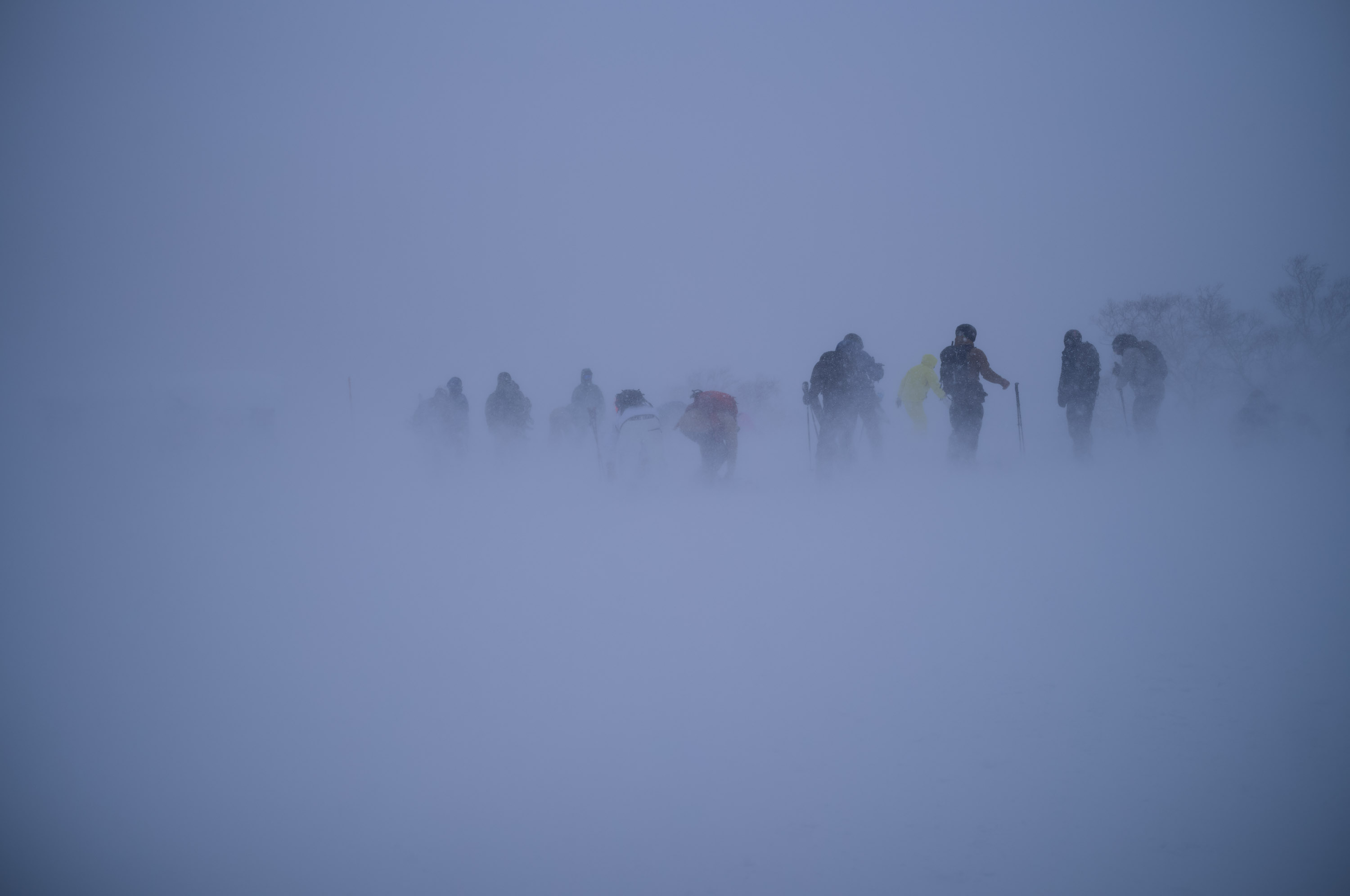 狂风大雪 \ Blizzard