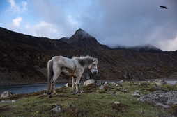 The Valley east of Mount Everest 珠峰东坡